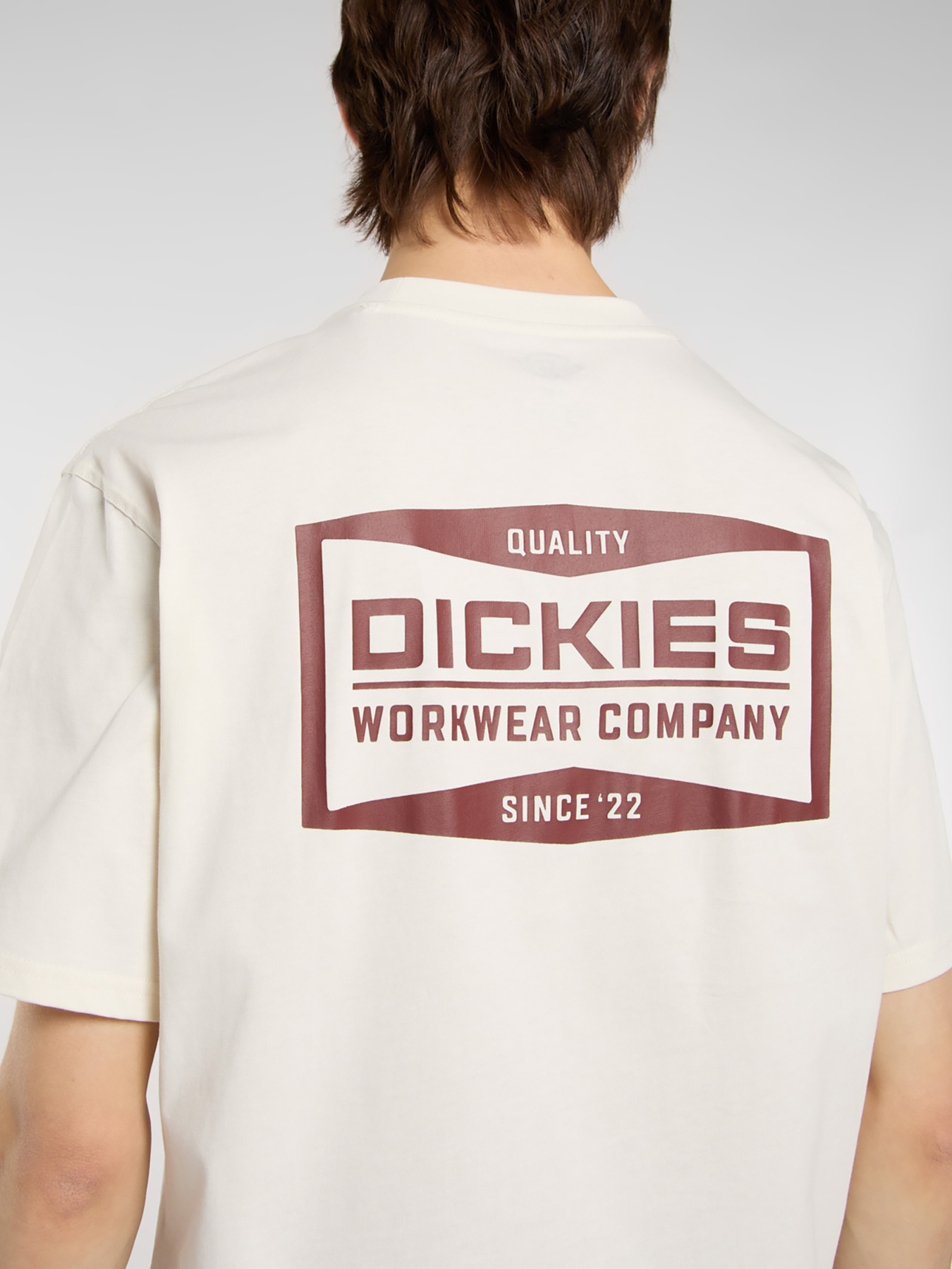 Футболка Dickies модель DK0A87QKC481 Фото