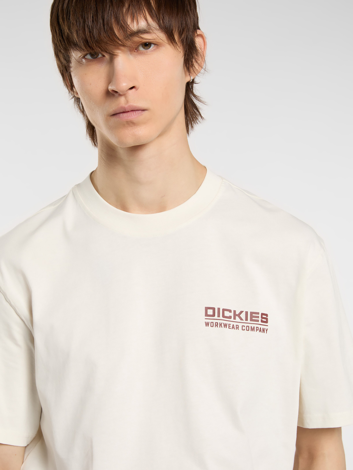 Футболка Dickies модель DK0A87QKC481 Фото