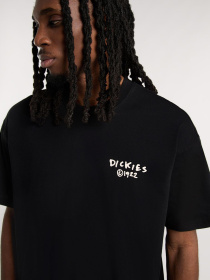Футболка Dickies Sneedville модель DK0A87QOBLK1 Фото