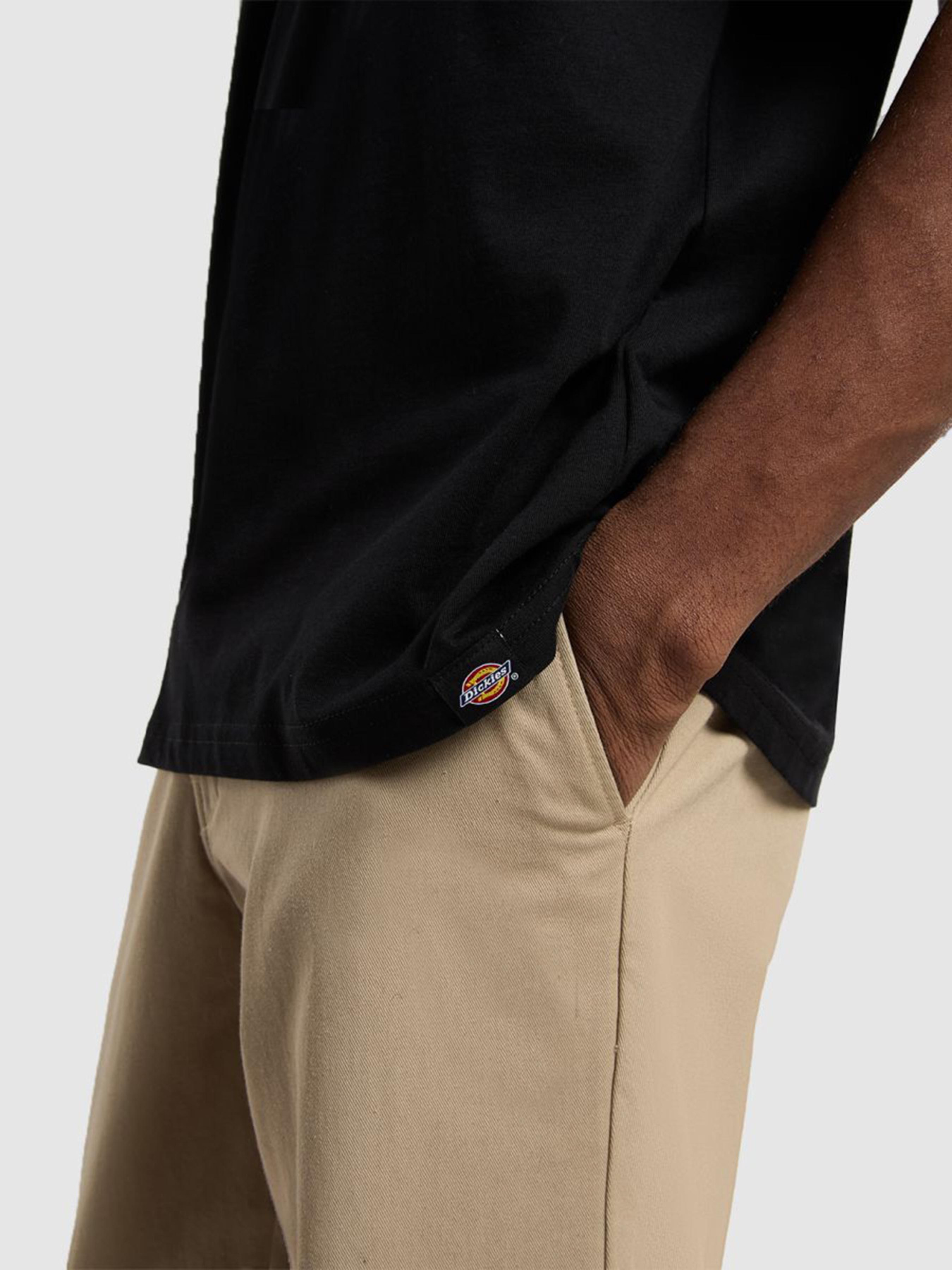 Футболка Dickies Sneedville модель DK0A87QOBLK1 Футболка Dickies Sneedville модель DK0A87QOBLK1 Фото