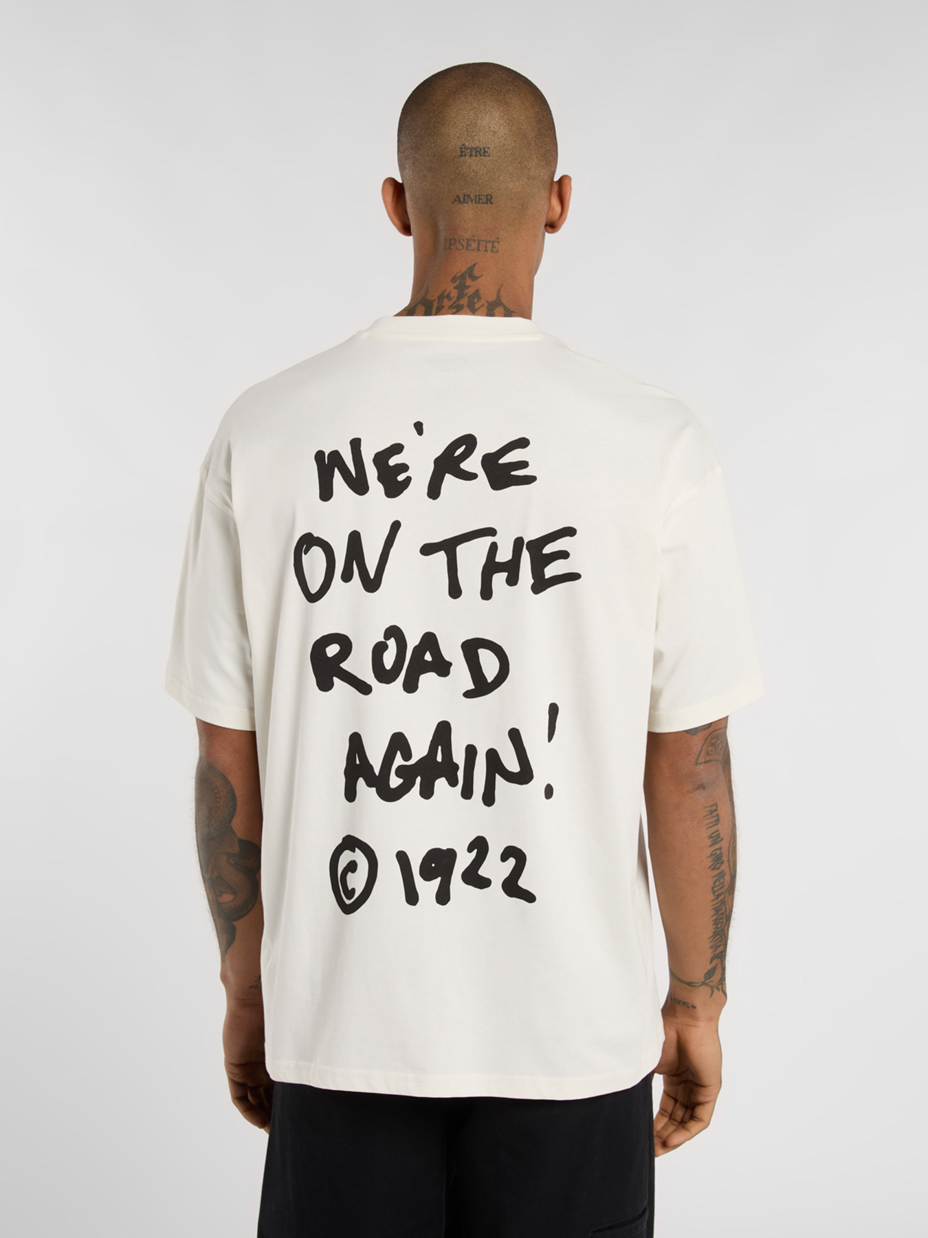 Футболка Dickies Sneedville модель DK0A87QOC481 Фото