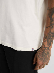 Футболка Dickies Sneedville модель DK0A87QOC481 Фото