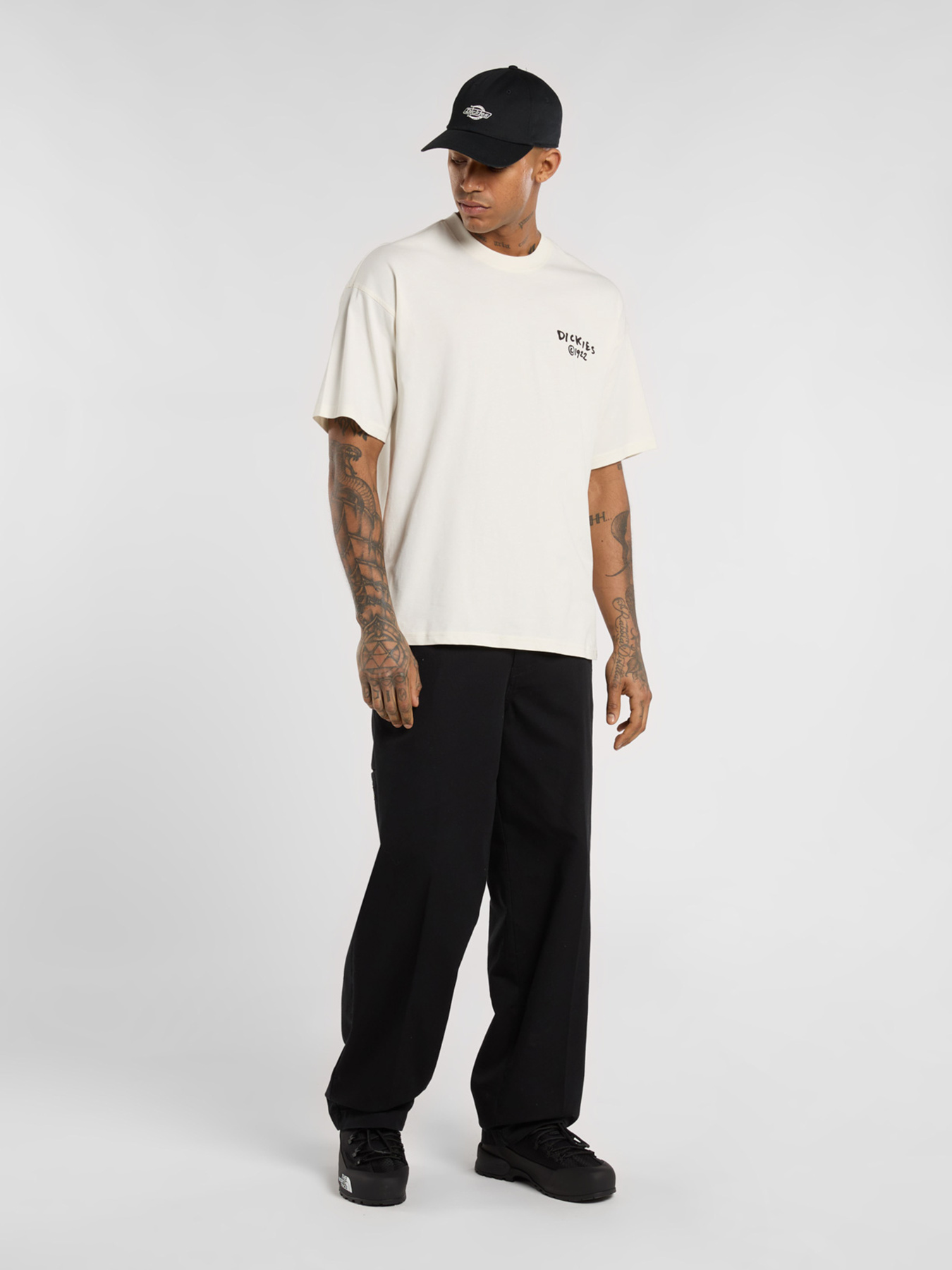 Футболка Dickies Sneedville модель DK0A87QOC481 Фото