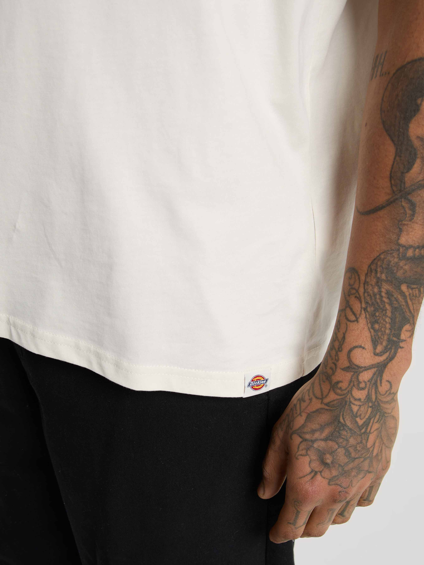 Футболка Dickies Sneedville модель DK0A87QOC481 Фото