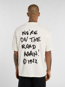 Футболка Dickies Sneedville модель DK0A87QOC481 Фото