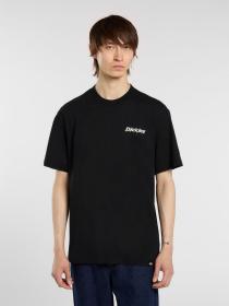 Футболка Dickies модель DK0A87QPBLK1 Фото