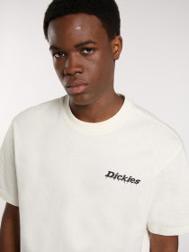 Футболка Dickies модель DK0A87QPC481 Фото