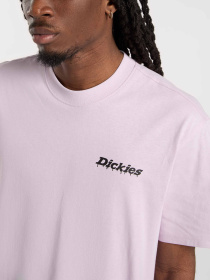 Футболка Dickies модель DK0A87QPK731 Фото