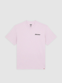 Футболка Dickies модель DK0A87QPK731 Фото