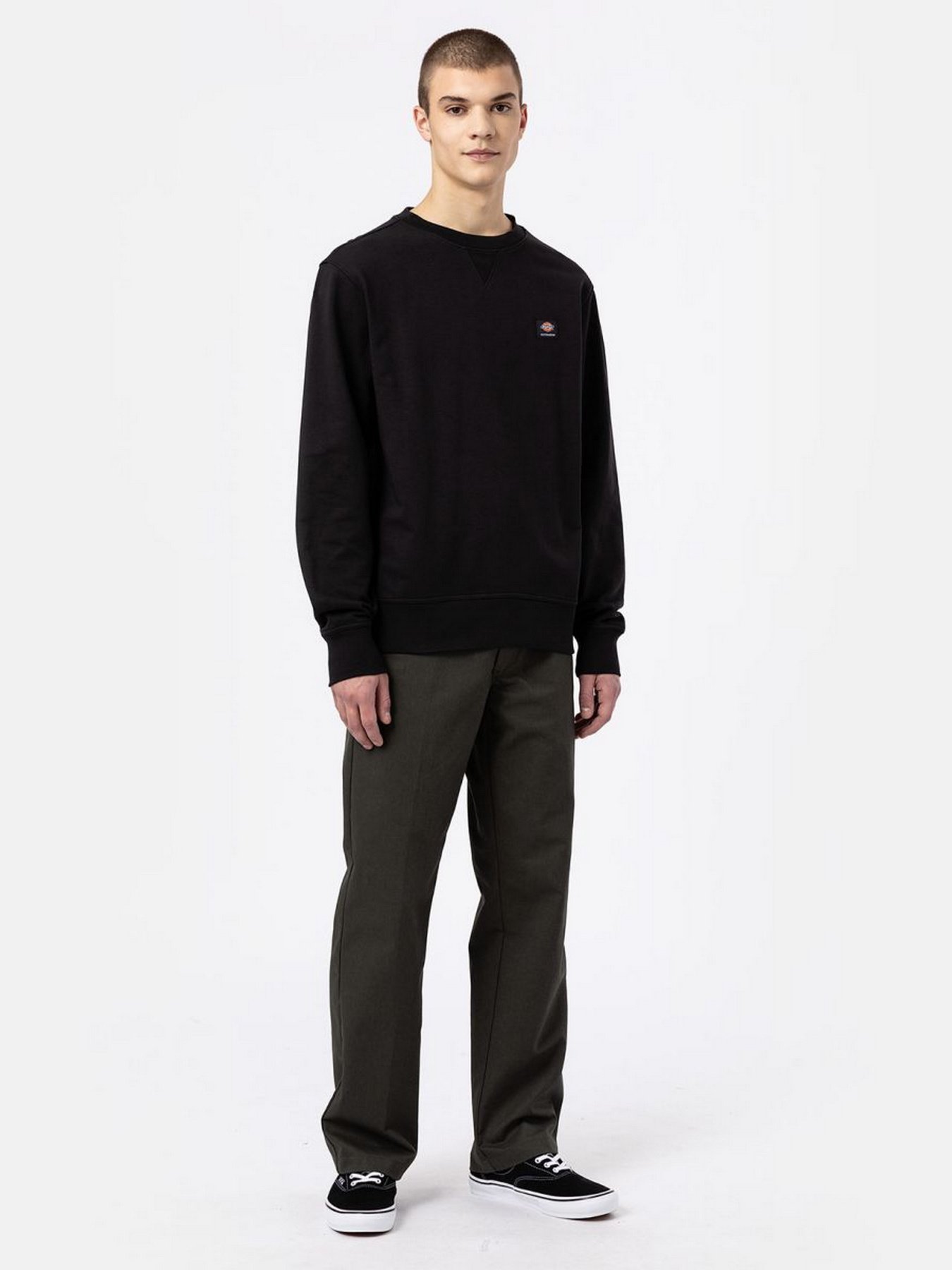 Свитшот Dickies Mount Vista модель DK0A4XPPBLK1 Фото