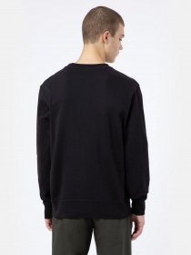 Свитшот Dickies Mount Vista модель DK0A4XPPBLK1 Фото