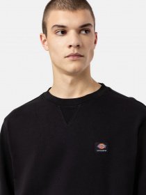 Свитшот Dickies Mount Vista модель DK0A4XPPBLK1 Фото
