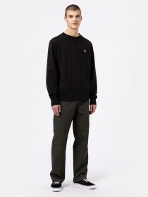 Свитшот Dickies Mount Vista модель DK0A4XPPBLK1 Фото