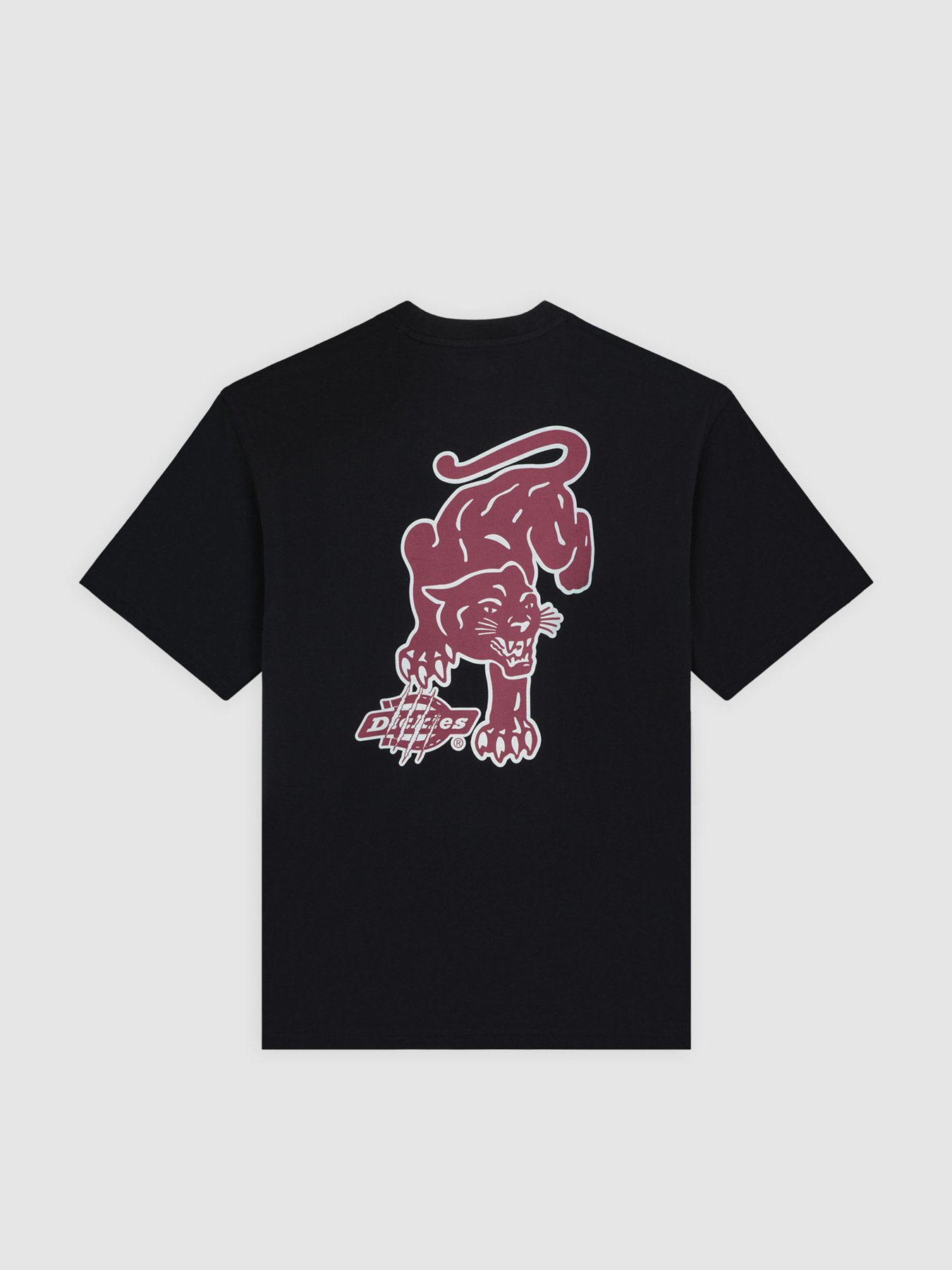 Футболка Dickies модель DK0A87QQBLK1 Фото