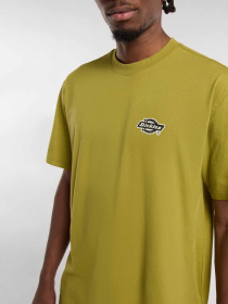 Футболка Dickies модель DK0A87QQL201 Фото