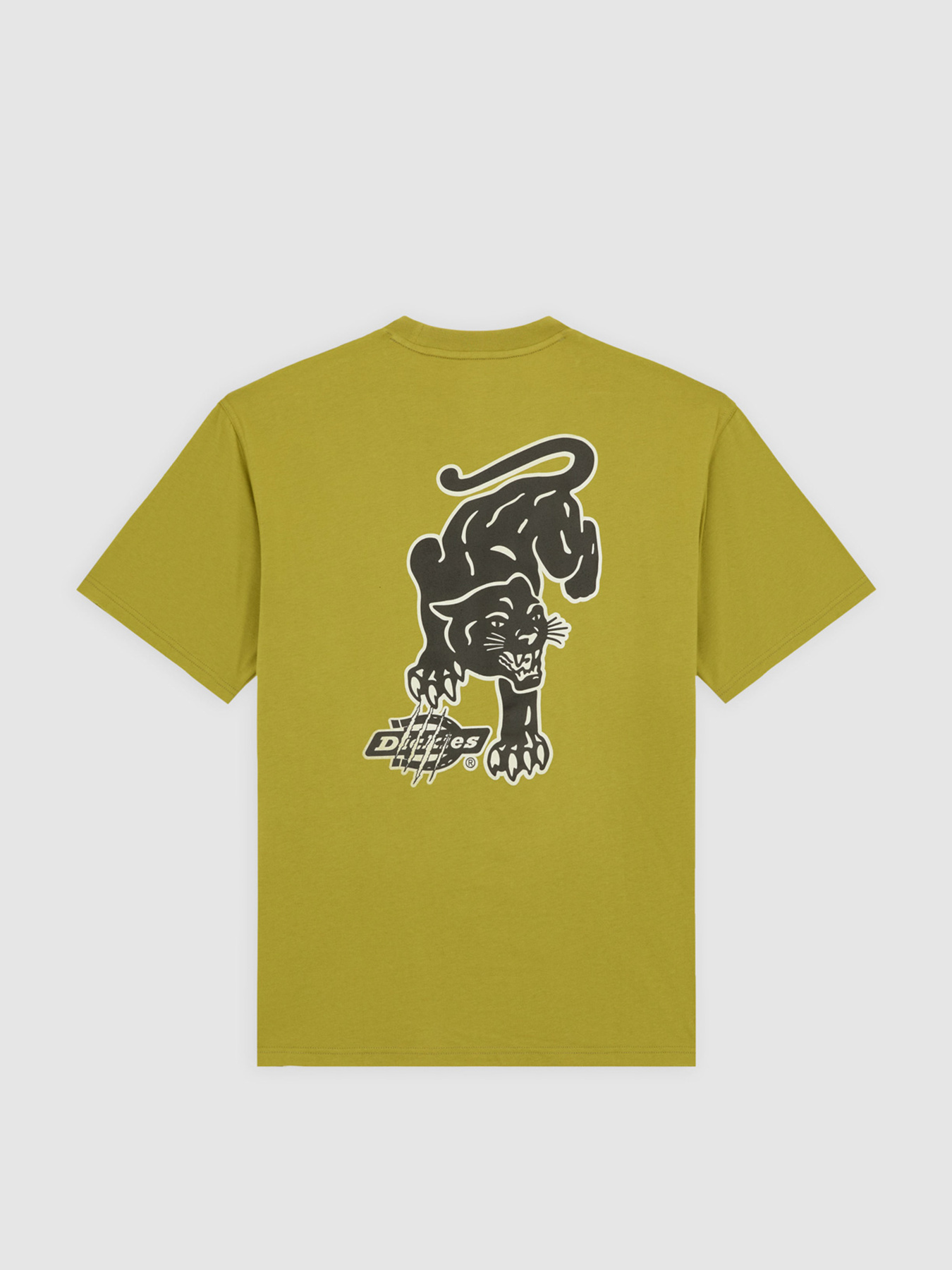 Футболка Dickies модель DK0A87QQL201 Футболка Dickies модель DK0A87QQL201 Фото