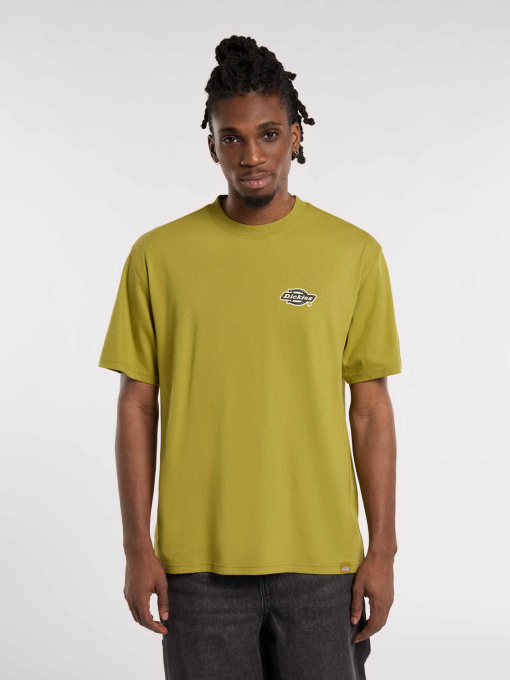 Футболка Dickies модель DK0A87QQL201 Фото
