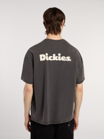 Футболка Dickies Slayden Gd модель DK0A87QRBLK1 Фото