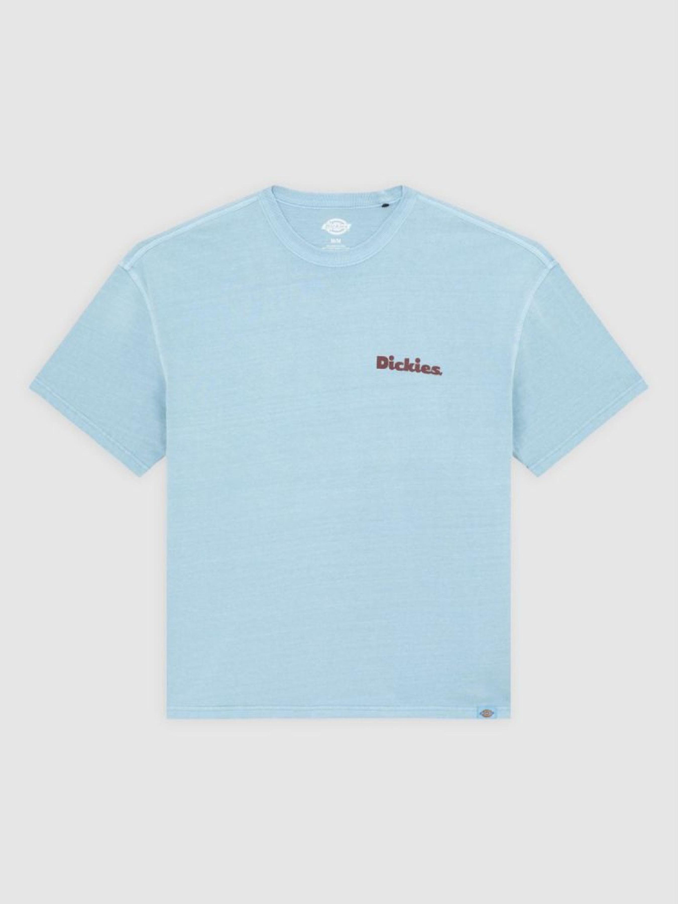 Футболка Dickies модель DK0A87QRK661 Фото