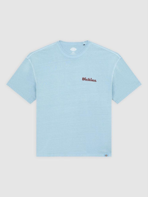 Футболка Dickies модель DK0A87QRK661 Фото