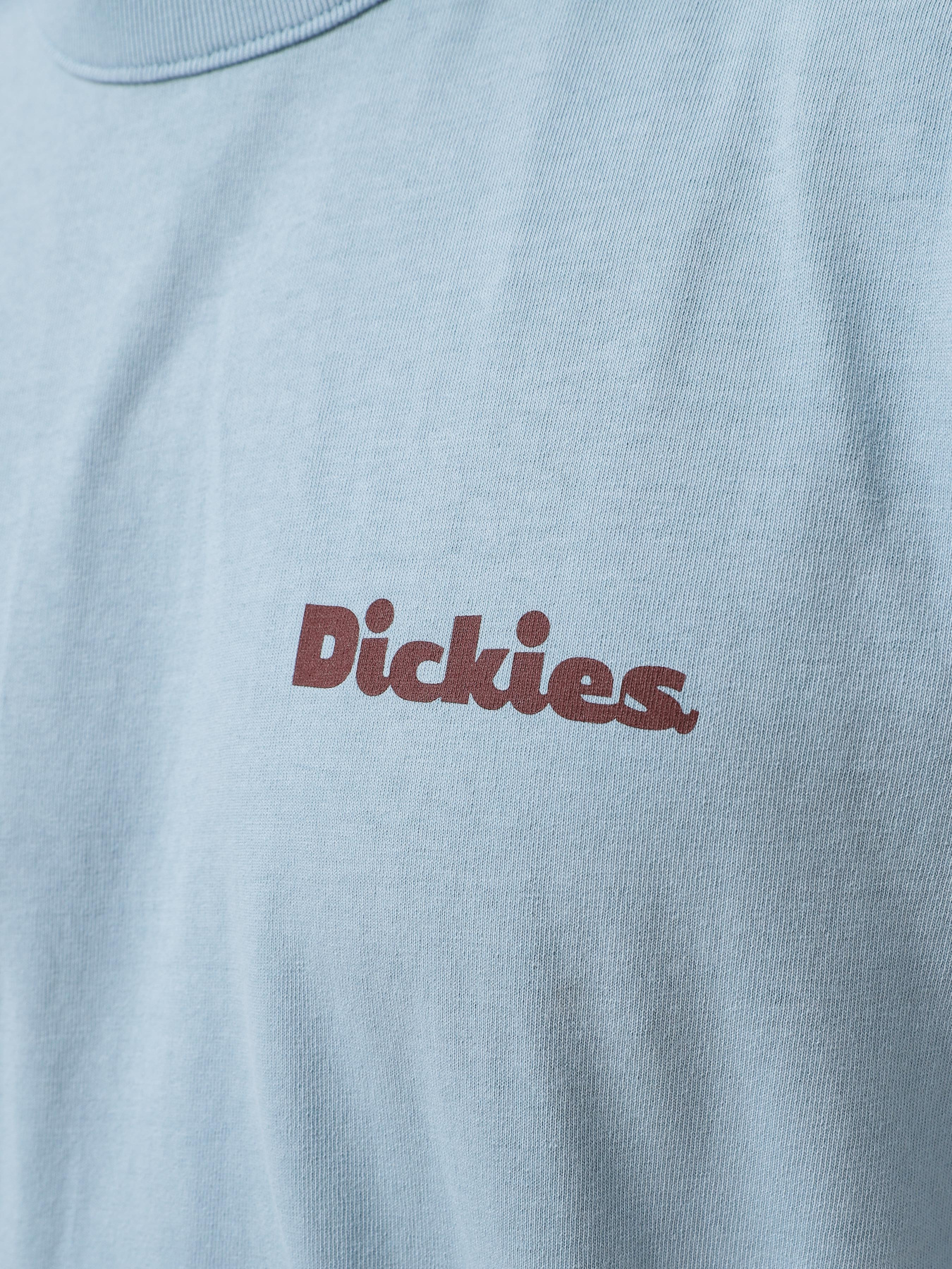 Футболка Dickies модель DK0A87QRK661 Фото