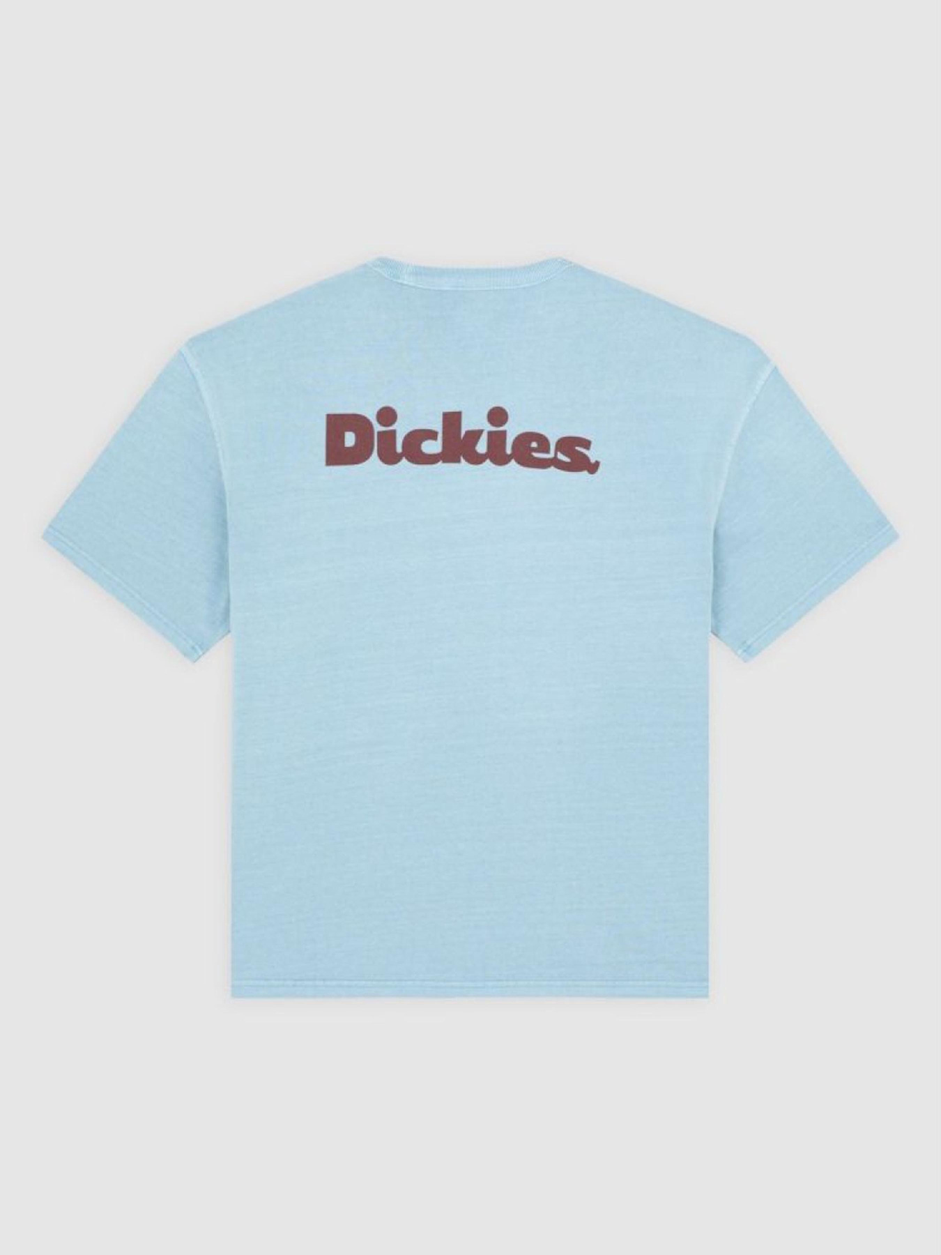 Футболка Dickies модель DK0A87QRK661 Фото