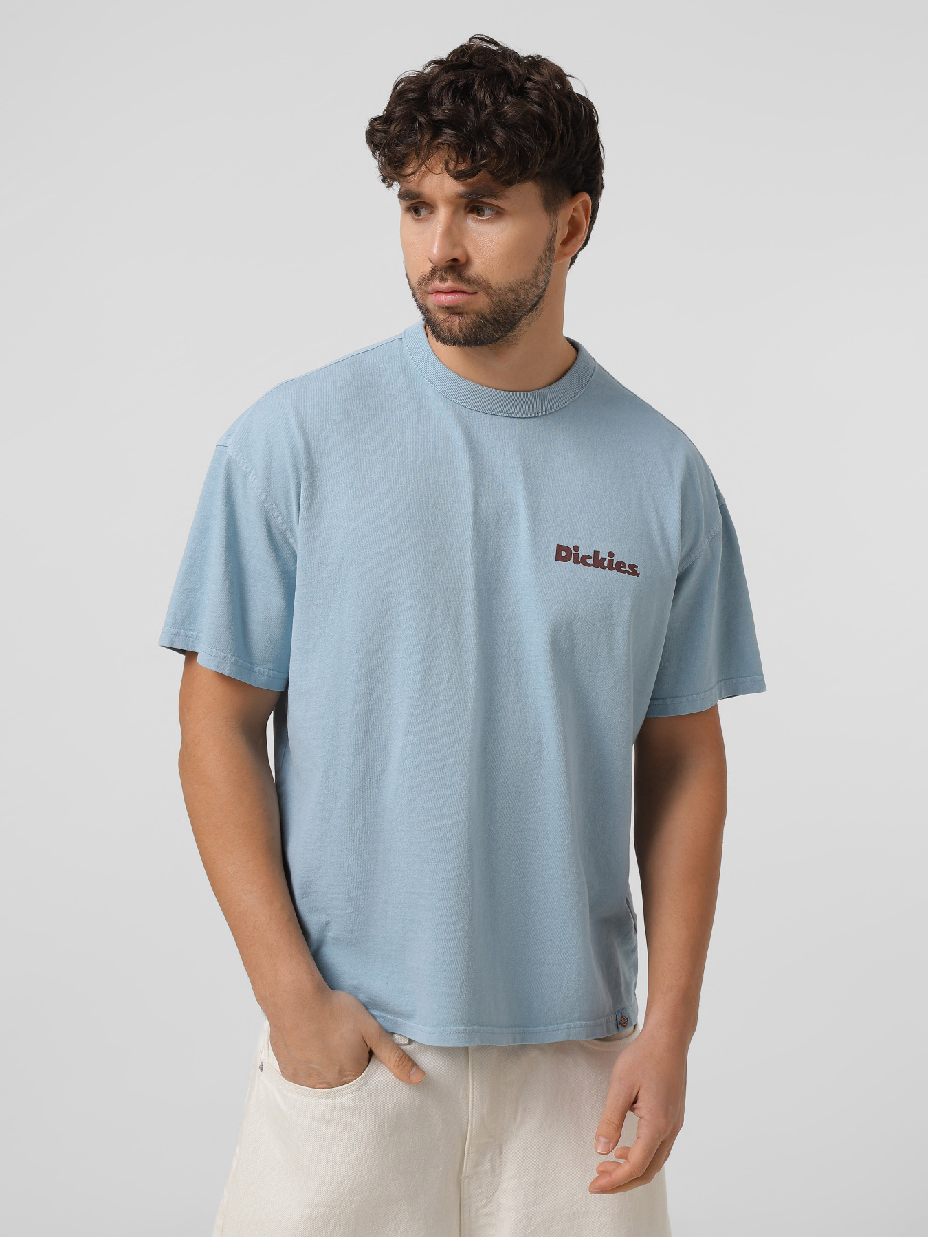 Футболка Dickies модель DK0A87QRK661 Фото