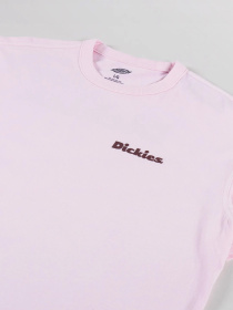 Футболка Dickies Slayden модель DK0A87QRK731 Фото