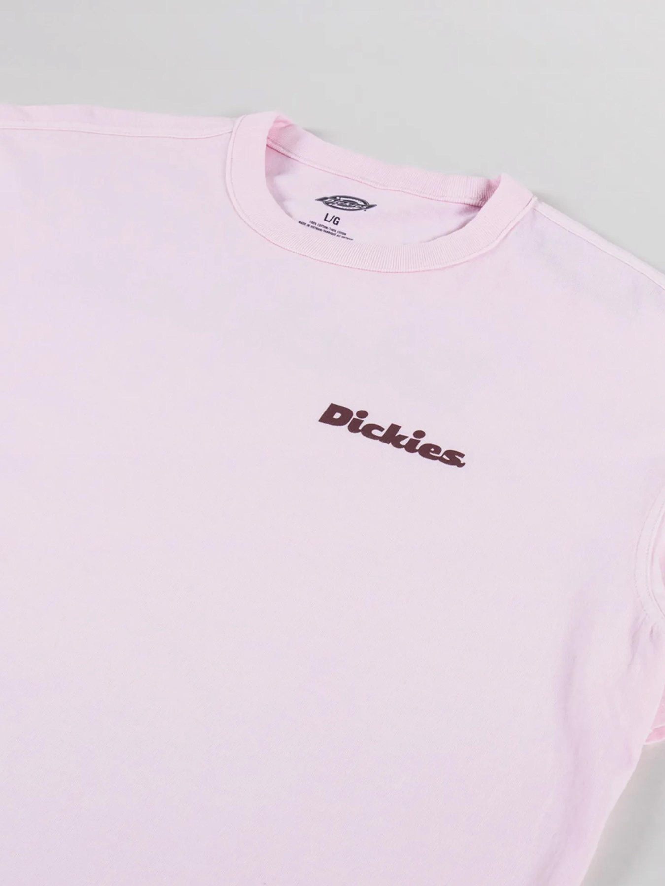 Футболка Dickies Slayden модель DK0A87QRK731 Фото