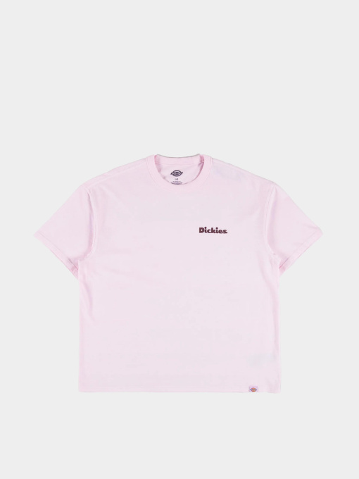 Футболка Dickies Slayden модель DK0A87QRK731 Фото