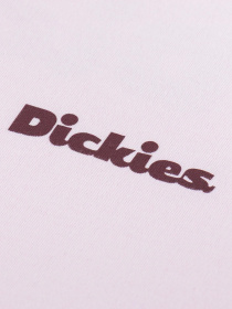 Футболка Dickies Slayden модель DK0A87QRK731 Фото