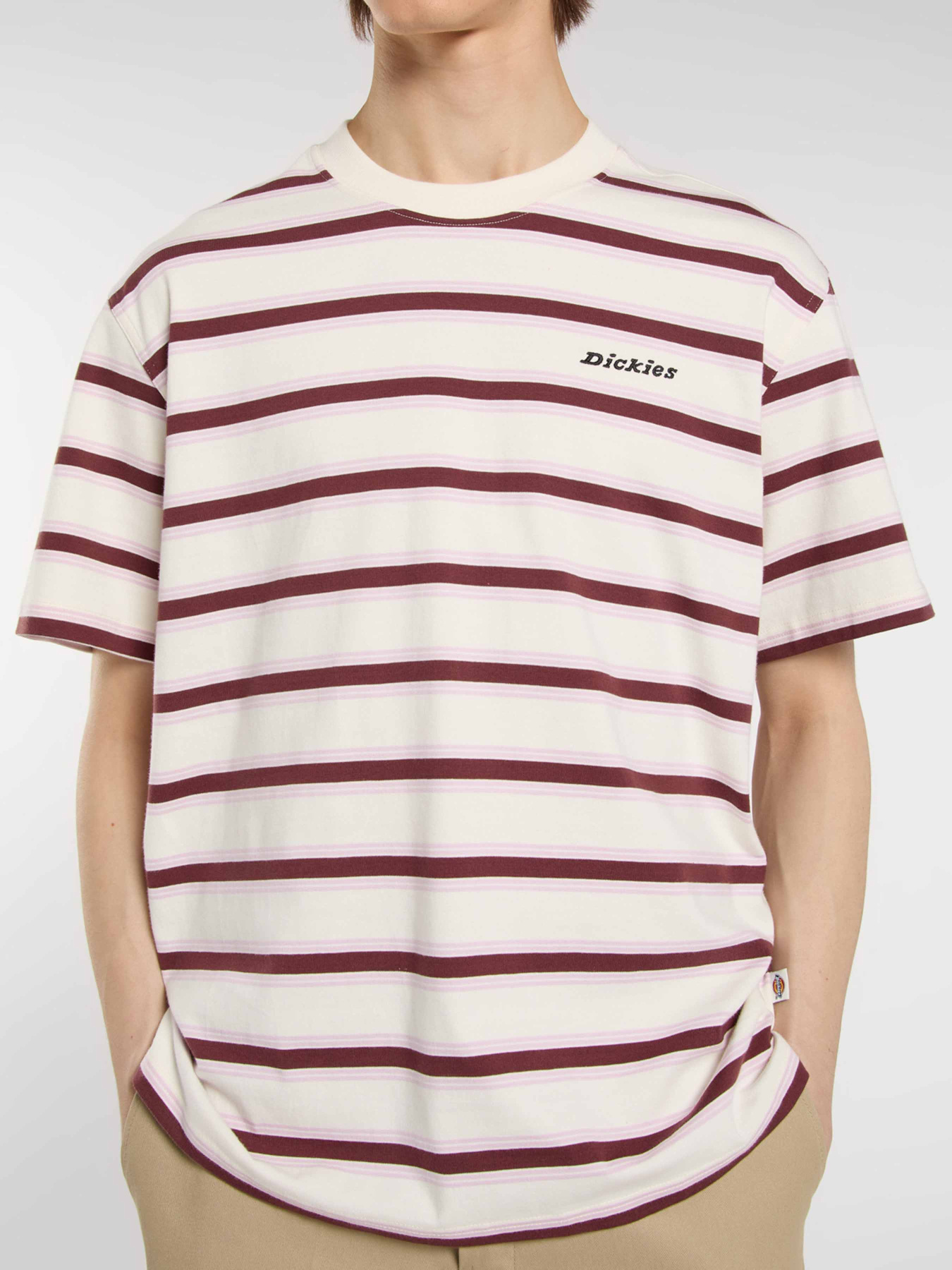 Футболка Dickies York Stripe модель DK0A87QVC481 Фото