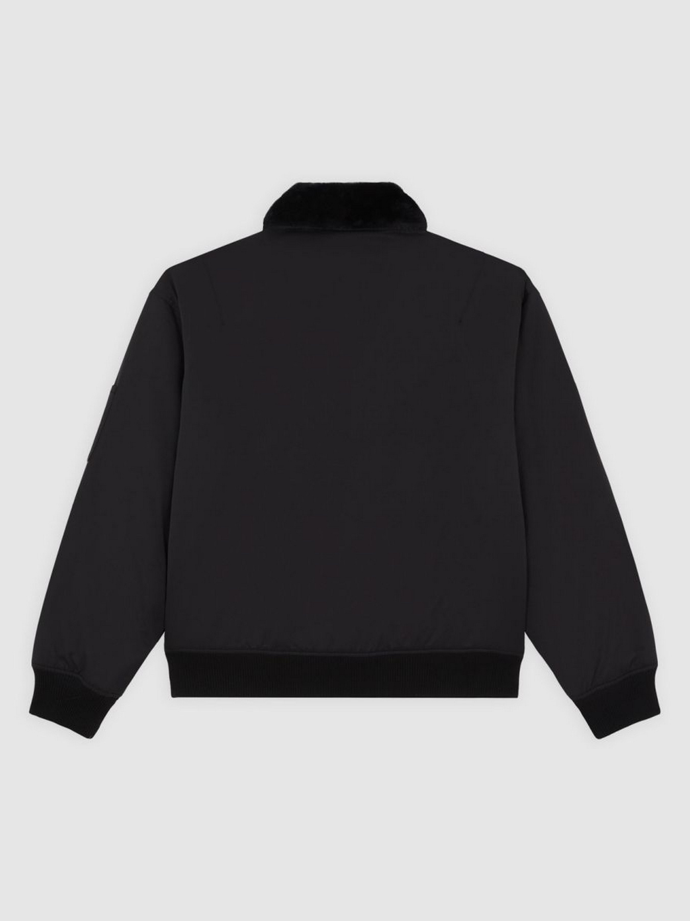 Демисезонная куртка Dickies модель DK0A88BMBLK1 Фото