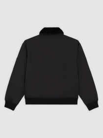 Демисезонная куртка Dickies модель DK0A88BMBLK1 Фото