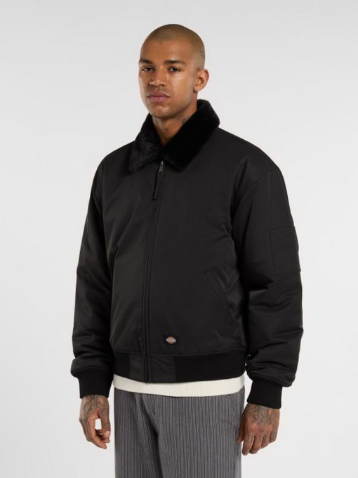 Демисезонная куртка Dickies модель DK0A88BMBLK1 Фото