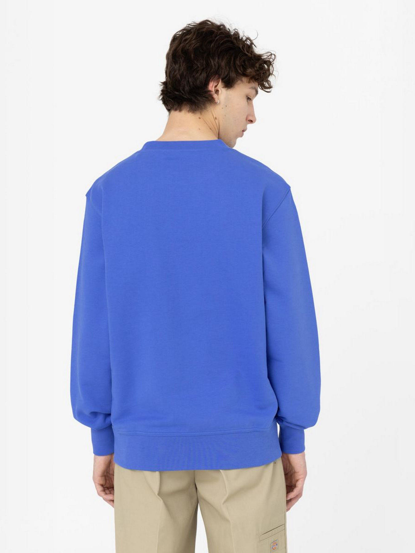 Свитшот Dickies Mount Vista модель DK0A4XPPE871 Фото