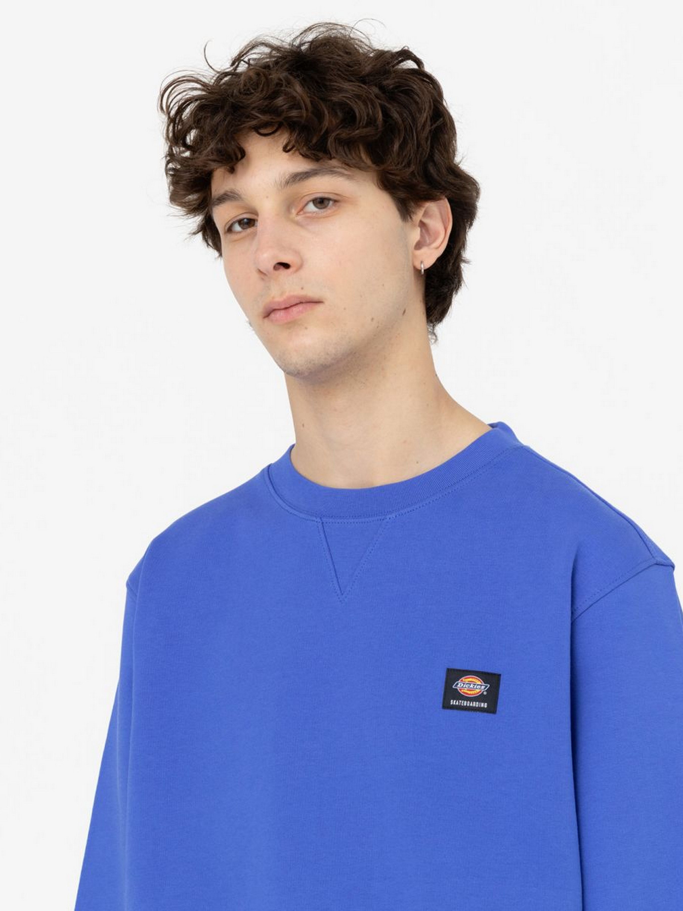 Свитшот Dickies Mount Vista модель DK0A4XPPE871 Фото