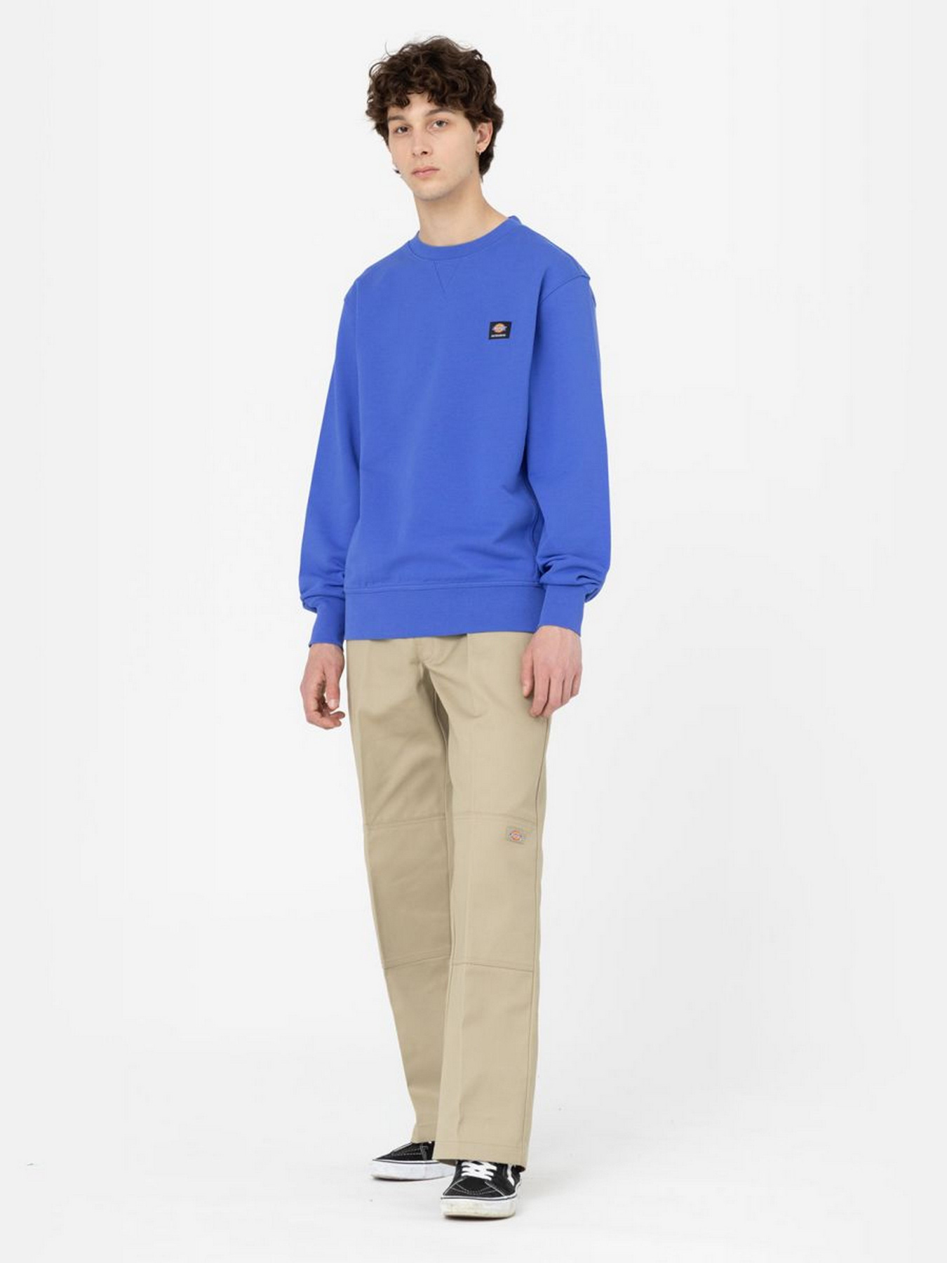 Світшот Dickies Mount Vista модель DK0A4XPPE871 Фото