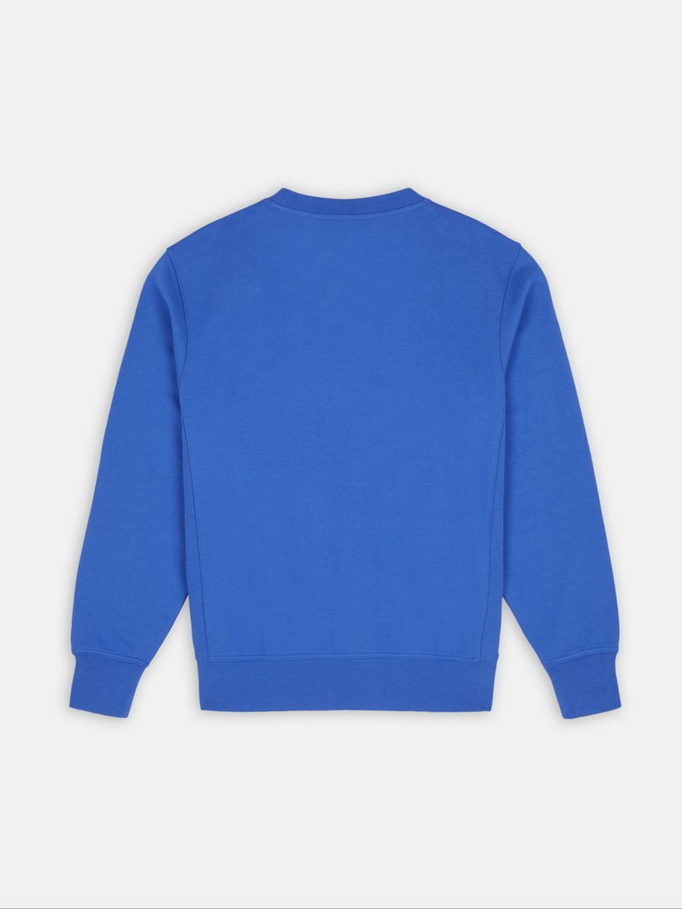 Світшот Dickies Mount Vista модель DK0A4XPPE871 Фото