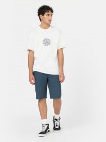 Повседневные шорты Dickies Slim Workshort Flex Air Force модель DK0A4XPQAF01 Фото