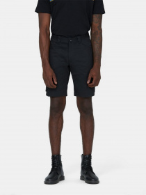 Шорти Dickies Lead In Flex модель DK0A4XSHBLK1 Фото
