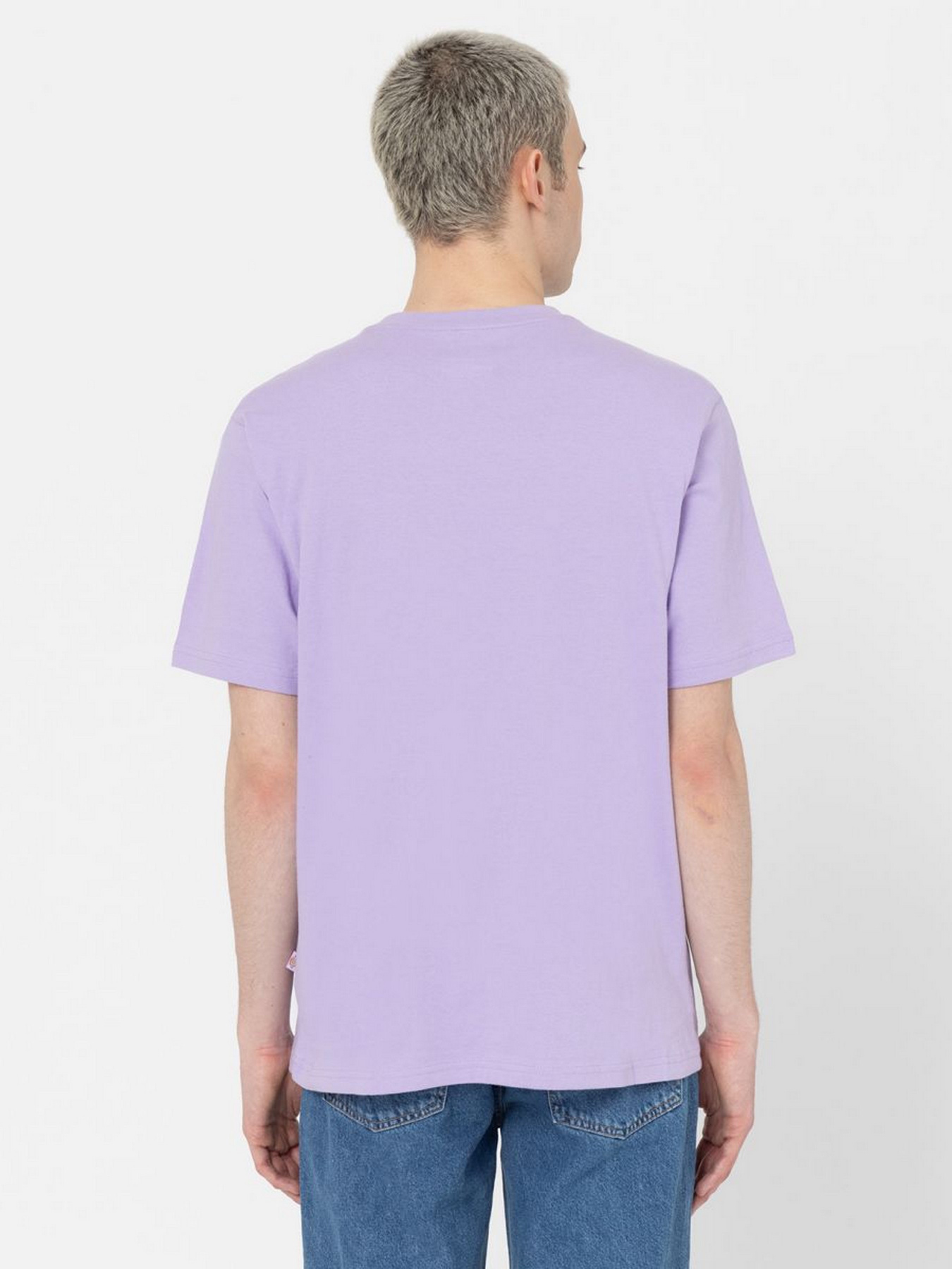 Футболка Dickies Icon Logo модель DK0A4XC9E611 Фото