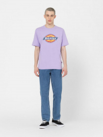 Футболка Dickies Icon Logo модель DK0A4XC9E611 Фото