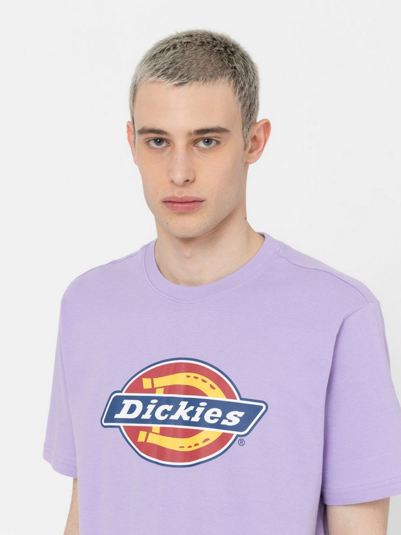 Футболка Dickies Icon Logo модель DK0A4XC9E611 Фото