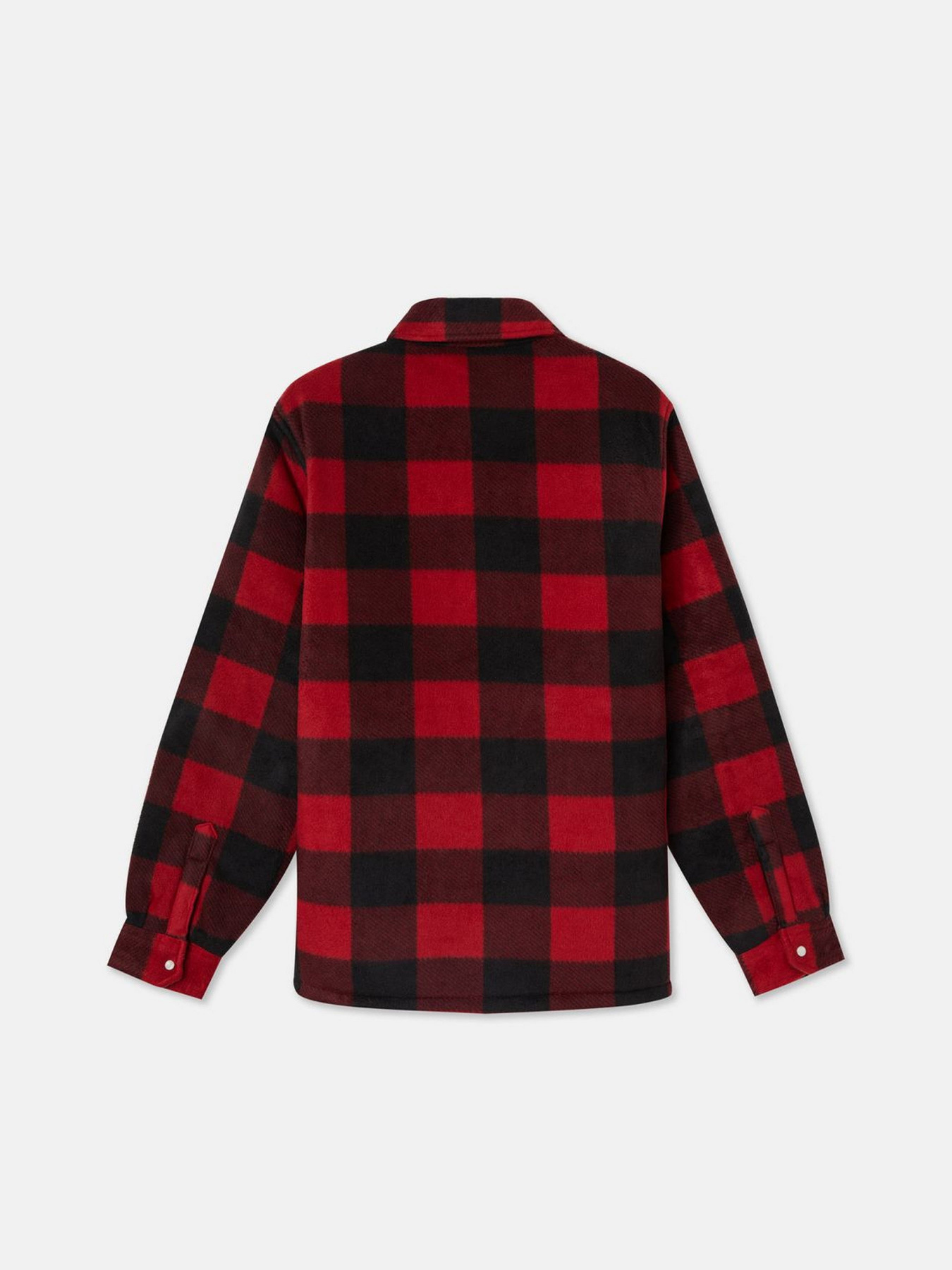 Рубашка Dickies Portland модель DK0A4XTARDX1 Фото