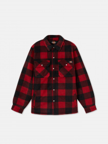 Рубашка Dickies Portland модель DK0A4XTARDX1 Фото