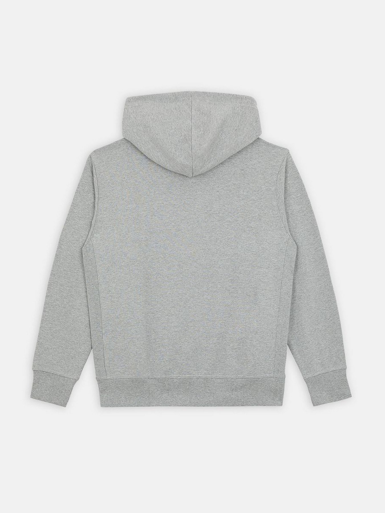 Худи Dickies Mount Vista модель DK0A4XYOGYM1 Фото