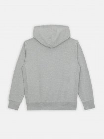 Худи Dickies Mount Vista модель DK0A4XYOGYM1 Фото