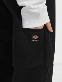 Брюки повседневные Dickies Valley Grande Double модель DK0A4XZDBLK1 Фото
