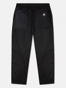 Брюки повседневные Dickies Mount Vista модель DK0A4Y22BLK1 Фото